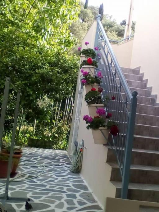 Sívota Elen'S House 아파트 외부 사진